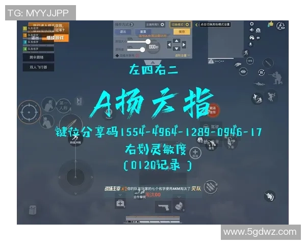 灵敏度设置与分享码的全面解析与实用技巧在和平精英中提升游戏体验