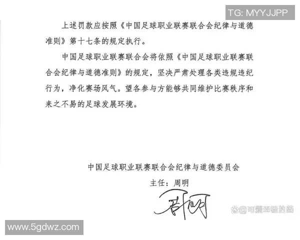 赛后争论为何总围绕判罚尺度展开的深层原因分析